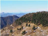  Spruzzata di enve sulla pineta del Monte Proventino - Crocefieschi&Vobbia - 2020 - Panorami - Inverno - Voto: Non  - Last Visit: 22/1/2024 1.56.15 