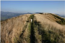  Tra cielo e terra sul Monte Proventino  - Crocefieschi&Vobbia - 2008 - Panorami - Inverno - Voto: Non  - Last Visit: 25/9/2023 13.54.35 