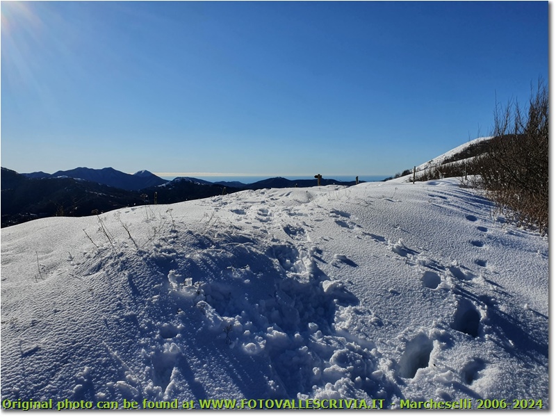 Verso il Monte Proventino da nord: neve e mare - Crocefieschi&Vobbia - 2021 - Panorami - Inverno - Olympus OM-D E-M10 Mark III
