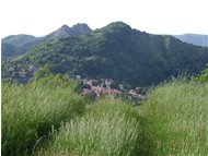  Crocefieschi - Crocefieschi&Vobbia - 2002 - Villages - Summer - Voto: Non  - Last Visit: 22/9/2023 3.2.42 
