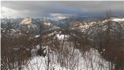  La cappelletta tra i rami innevati - Crocefieschi&Vobbia - 2014 - Woods - Winter - Voto: Non  - Last Visit: 21/1/2024 20.30.36 