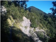  Sentiero Crocefieschi Reopasso - Crocefieschi&Vobbia - 2014 - Woods - Summer - Voto: Non  - Last Visit: 25/5/2024 9.21.9 