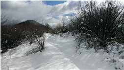  Sentiero nella neve - Crocefieschi&Vobbia - 2014 - Woods - Winter - Voto: Non  - Last Visit: 22/1/2024 5.41.30 