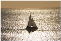  Backlight sail - Genoa - 2004 - Landscapes - Other - Voto: Non  - Last Visit: 12/4/2025 13.51.14 