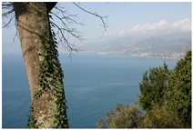  Overlook on west riviera - Genoa - 2004 - Landscapes - Other - Voto: Non  - Last Visit: 13/4/2024 20.3.37 