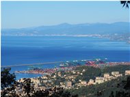  Porto di Genova Voltri e porto di Savona sulla sfondo - Genoa - 2020 - Villages - Other - Voto: Non  - Last Visit: 19/4/2025 13.42.16 