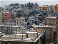  Genova: Quartieri di circonvallazione a monte sotto la neve (2001) - Genova - <2001 - Paesi - Foto varie - Voto: 10   - Last Visit: 12/8/2022 4.38.34 