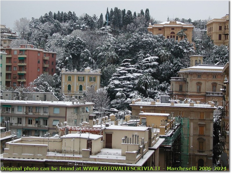 Genova: Quartieri di circonvallazione a monte sotto la neve (2001) - Genova - <2001 - Paesi - Foto varie - Olympus Camedia 3000