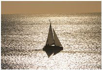  Barca a vela in controluce - Genova - 2004 - Panorami - Foto varie - Voto: Non  - Last Visit: 25/5/2024 8.32.2 