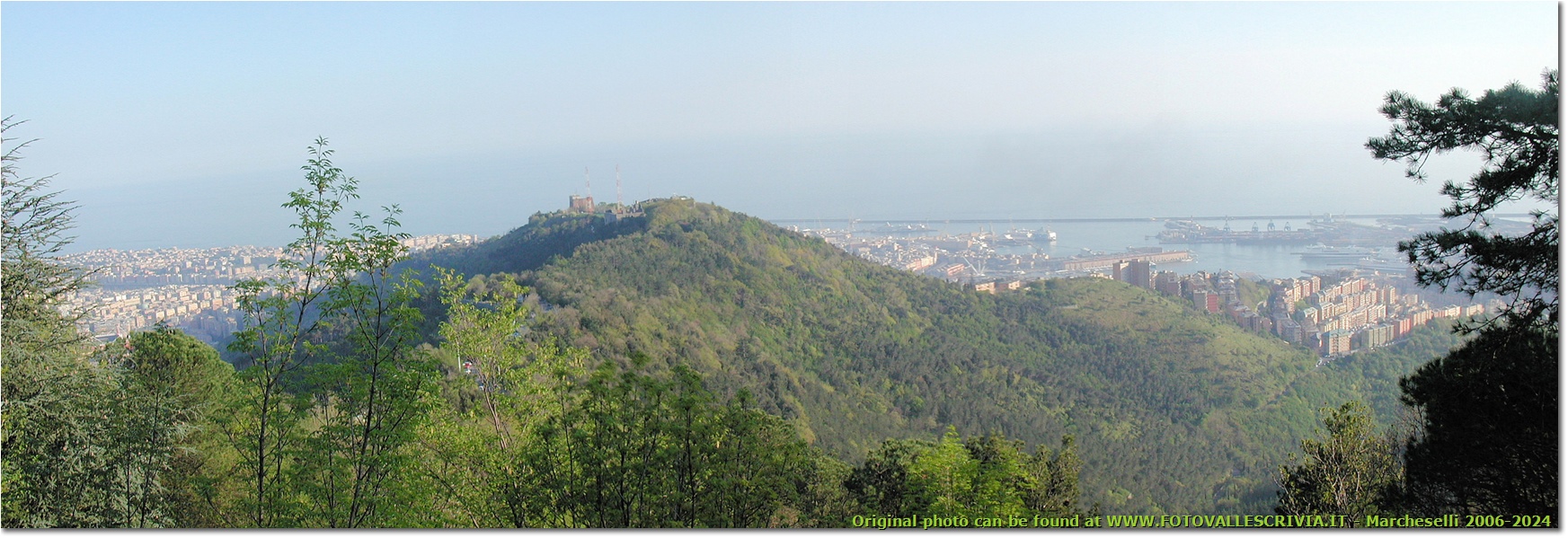 Il Castellaccio, il centro e il porto di Genova: panorama dal forte Puin - Genova - 2006 - Panorami - Foto varie - Olympus Camedia 3000