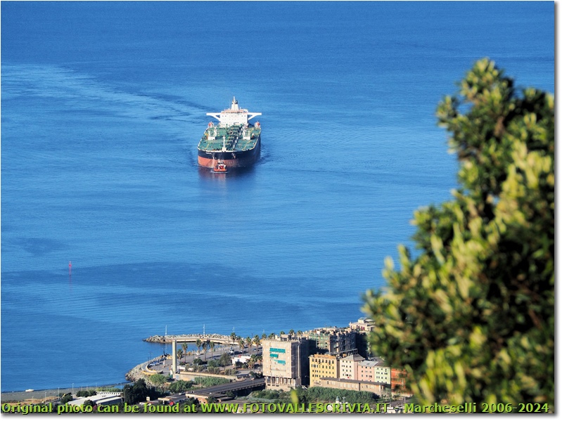 Nave in arrivo a Voltri dal Monte Gazzo - Genova - 2020 - Panorami - Foto varie - Olympus OM-D E-M10 Mark III