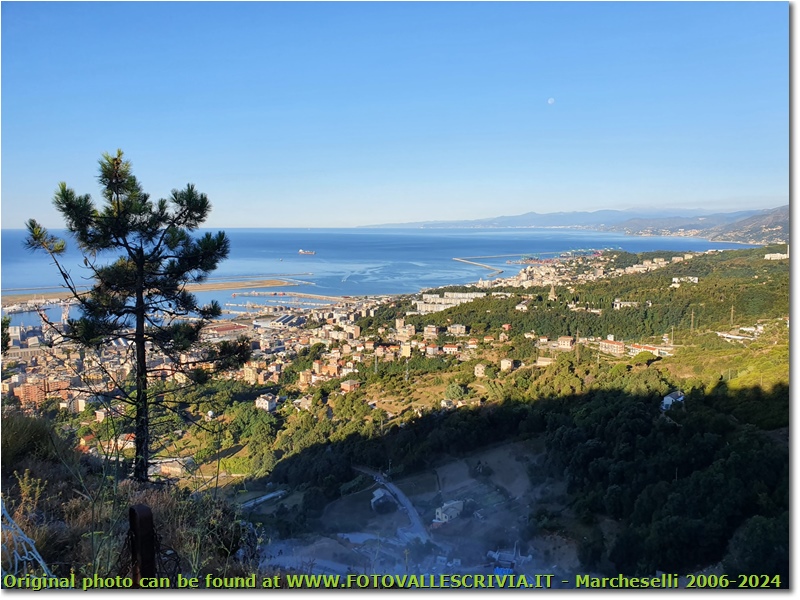 Porto di Voltri e riviera di Ponente dal Monte Gazzo - Genova - 2020 - Panorami - Foto varie - Olympus OM-D E-M10 Mark III