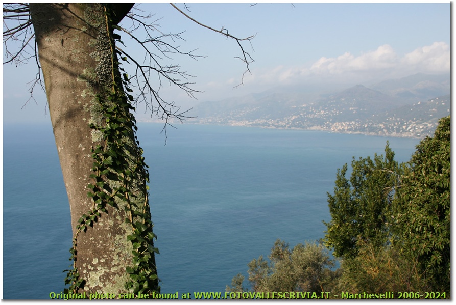 Riviera ligure di ponente - Genova - 2004 - Panorami - Foto varie - Canon EOS 300D