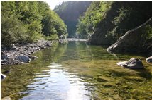  Il fiume Pentemina, affluente dello Scrivia - Montoggio - 2008 - Altro - Estate - Voto: Non  - Last Visit: 20/4/2024 12.40.25 