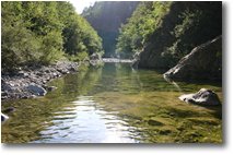 Fotografie Montoggio - Altro - Il fiume Pentemina, affluente dello Scrivia