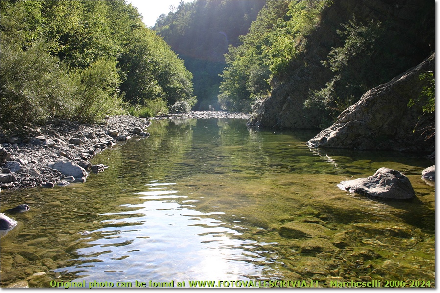 Il fiume Pentemina, affluente dello Scrivia - Montoggio - 2008 - Altro - Estate - Canon EOS 300D