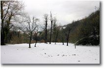 Fotografie Montoggio - Boschi - Inverno a Casalino, frazione di Montoggio