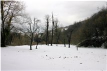  Inverno a Casalino, frazione di Montoggio - Montoggio - 2009 - Boschi - Inverno - Voto: Non  - Last Visit: 27/9/2023 10.56.55 