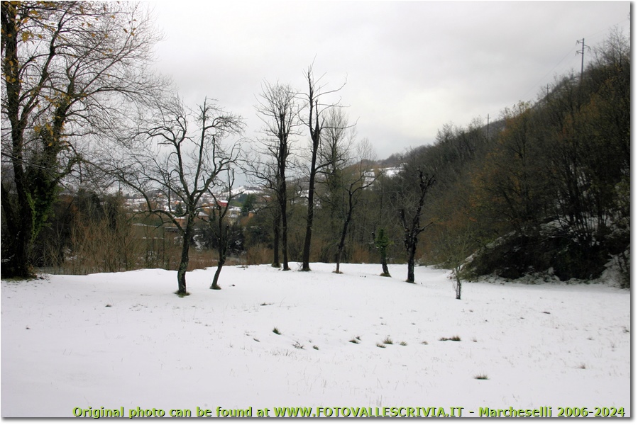 Inverno a Casalino, frazione di Montoggio - Montoggio - 2009 - Boschi - Inverno - Canon EOS 300D