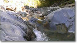Foto Montoggio - Boschi - Laghetti del torrente Pentemina