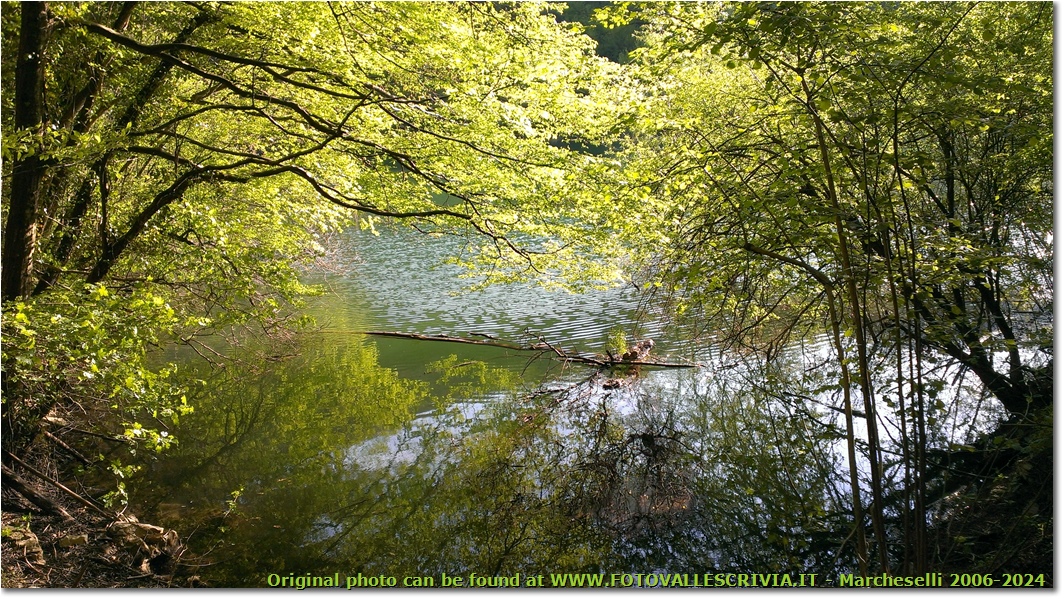 Riflessi sul lago di Valnoci - Montoggio - 2014 - Boschi - Estate - HTC One S Nokia C7-00 (o altro cell)