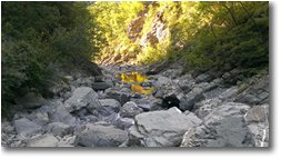 Foto Montoggio - Boschi - Riflessi sul torrente Pentemina