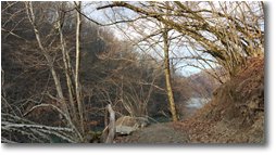 Fotografie Montoggio - Boschi - Sentiero attorno al lago del Brugneto