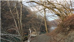  Sentiero attorno al lago del Brugneto - Montoggio - 2016 - Boschi - Inverno - Voto: Non  - Last Visit: 16/10/2021 15.54.37 