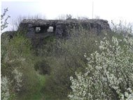  Pruni fioriti - Montoggio - 2004 - Fiori&Fauna - Estate - Voto: Non  - Last Visit: 1/5/2023 0.57.51 