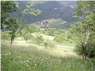  Fields near Casalino; Montoggio in the background - Montoggio - 2002 - Landscapes - Summer - Voto: 9    - Last Visit: 26/3/2024 16.14.26 