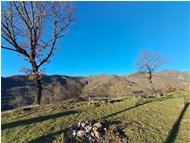  Montoggio: veduta dal Castello - Montoggio - 2023 - Landscapes - Winter - Voto: Non  - Last Visit: 16/4/2025 16.15.30 