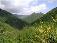  Scabbiabella hemlet, Pentemina valley - Montoggio - 2002 - Landscapes - Summer - Voto: 10   - Last Visit: 30/5/2024 13.46.45 