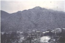  Slope of M. bano - Montoggio - <2001 - Landscapes - Winter - Voto: Non  - Last Visit: 13/4/2024 18.17.33 