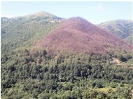  Un nuovo parassita infesta i nostri boschi: lymantria dispar - Montoggio - 2012 - Landscapes - Summer - Voto: Non  - Last Visit: 1/10/2023 20.57.16 