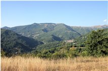  I boschi della Val Brevenna rigenerati in agosto dopo l'attacco dei bruchi di lymantria - Montoggio - 2012 - Landscapes - Summer - Voto: Non  - Last Visit: 13/4/2024 20.22.12 
