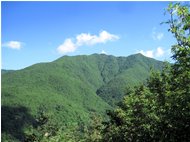  I boscosi pendii settentrionali del Monte Bano - Montoggio - 2012 - Landscapes - Summer - Voto: Non  - Last Visit: 25/5/2024 9.17.59 