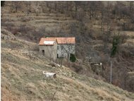  Casolare sulle alture di Montoggio - Montoggio - 2005 - Paesi - Inverno - Voto: Non  - Last Visit: 18/5/2024 19.46.38 