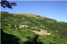  Serrato e Fasciou sulle pendici del Monte Banca - Montoggio - 2005 - Paesi - Estate - Voto: Non  - Last Visit: 26/5/2023 15.25.16 