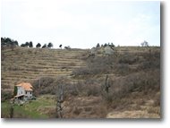 Foto Montoggio - Panorami - Medow near fasciou hamlet