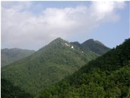  La selvaggia Val Pentemina - Montoggio - 2002 - Panorami - Estate - Voto: Non  - Last Visit: 6/11/2022 11.34.36 