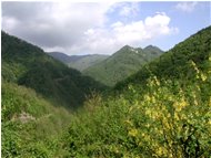  Le case della frazione Scabbiabella in Val Pentemina - Montoggio - 2002 - Panorami - Estate - Voto: 10   - Last Visit: 30/5/2024 13.46.45 