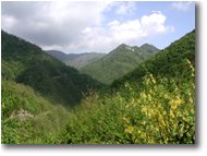 Foto Montoggio - Panorami - Le case della frazione Scabbiabella in Val Pentemina