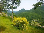  Monte Acuto - Montoggio - 2019 - Panorami - Estate - Voto: Non  - Last Visit: 25/5/2024 9.25.31 
