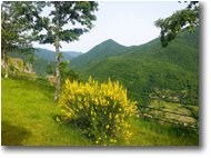 Foto Montoggio - Panorami - Monte Acuto