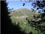  Monte Alpesisa a fine estate - Montoggio - 2003 - Panorami - Estate - Voto: Non  - Last Visit: 25/5/2024 9.8.56 