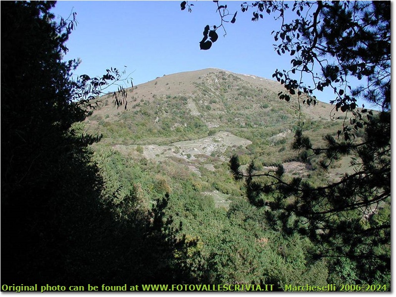 Monte Alpesisa a fine estate - Montoggio - 2003 - Panorami - Estate - Olympus Camedia 3000