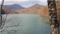  Sentiero attorno al lago del Brugneto - Montoggio - 2016 - Panorami - Inverno - Voto: Non  - Last Visit: 27/1/2023 1.13.58 