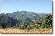 Foto Montoggio - Panorami - I boschi della Val Brevenna rigenerati in agosto dopo l'attacco dei bruchi di lymantria