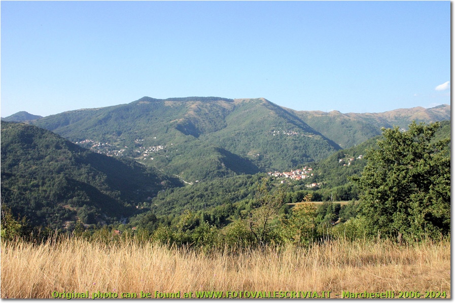 I boschi della Val Brevenna rigenerati in agosto dopo l'attacco dei bruchi di lymantria - Montoggio - 2012 - Panorami - Estate - Canon Ixus 980 IS