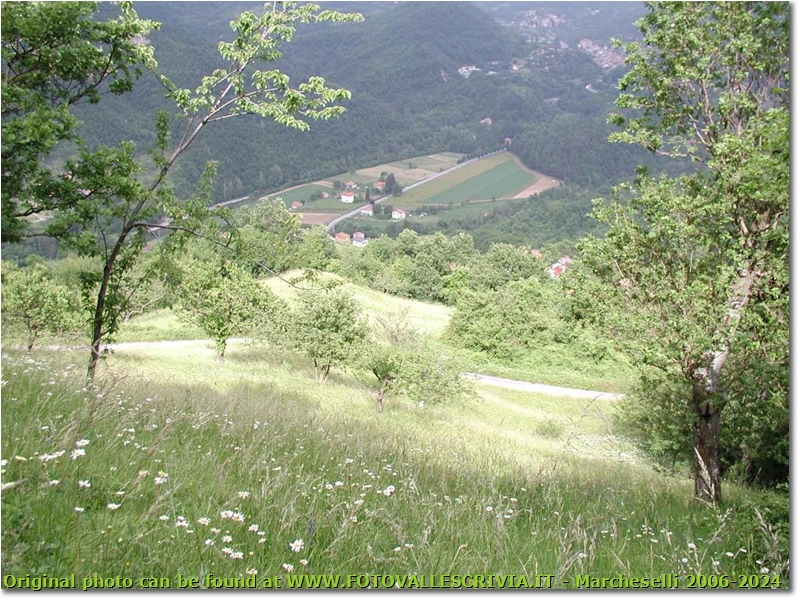 I campi di Casalino con sullo sfondo Montoggio - Montoggio - 2002 - Panorami - Estate - Olympus Camedia 3000